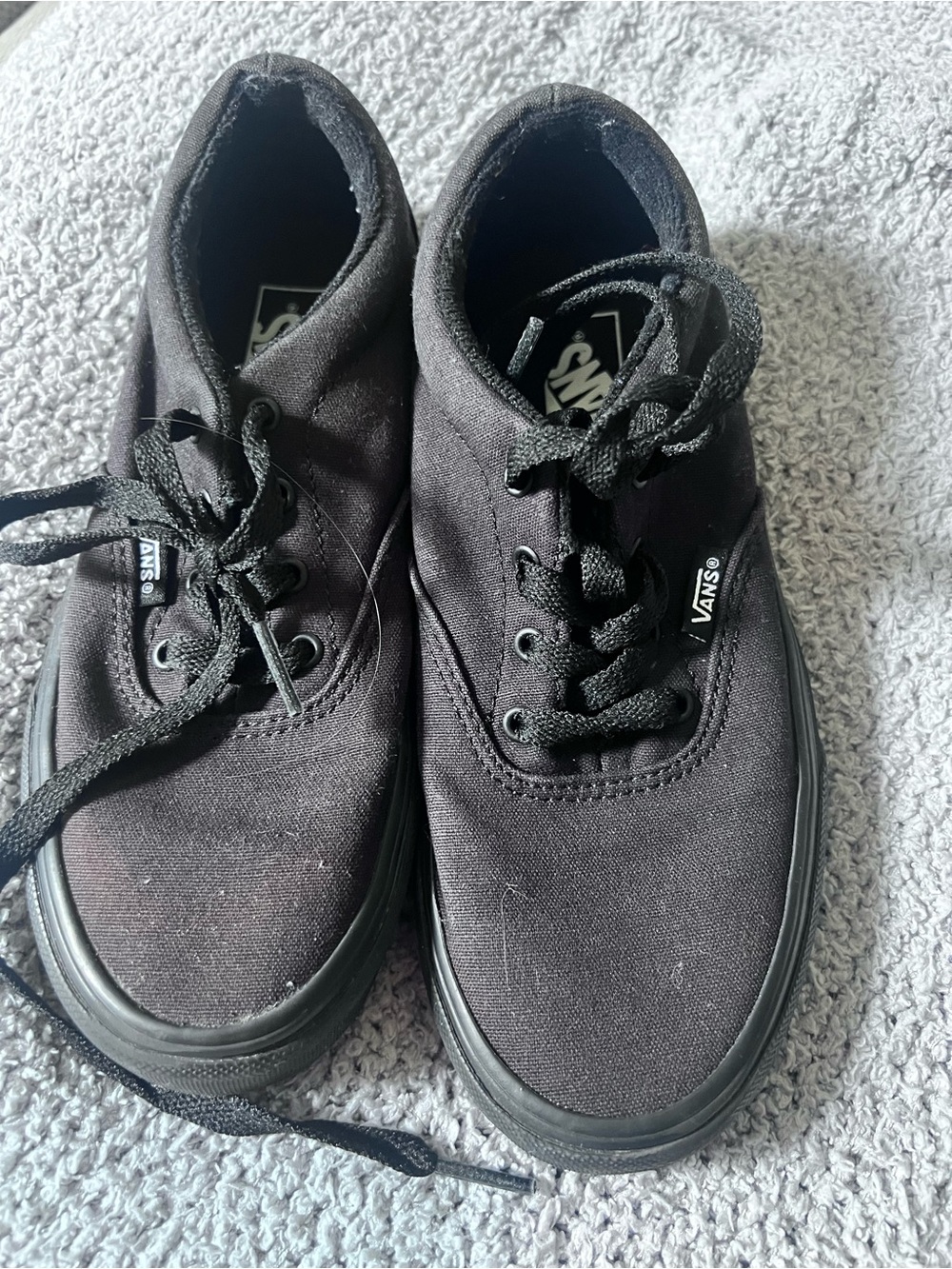 Vans Black Low-Top Canvas Sneakers